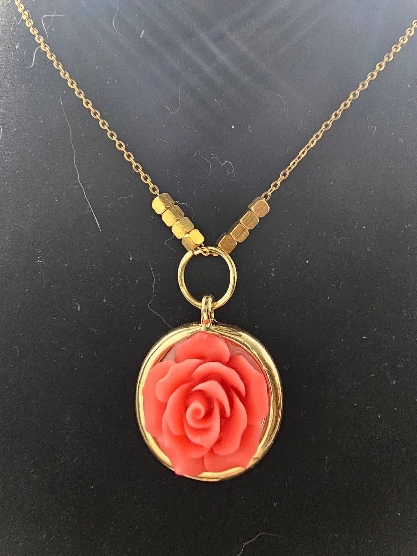 The Staring Rose