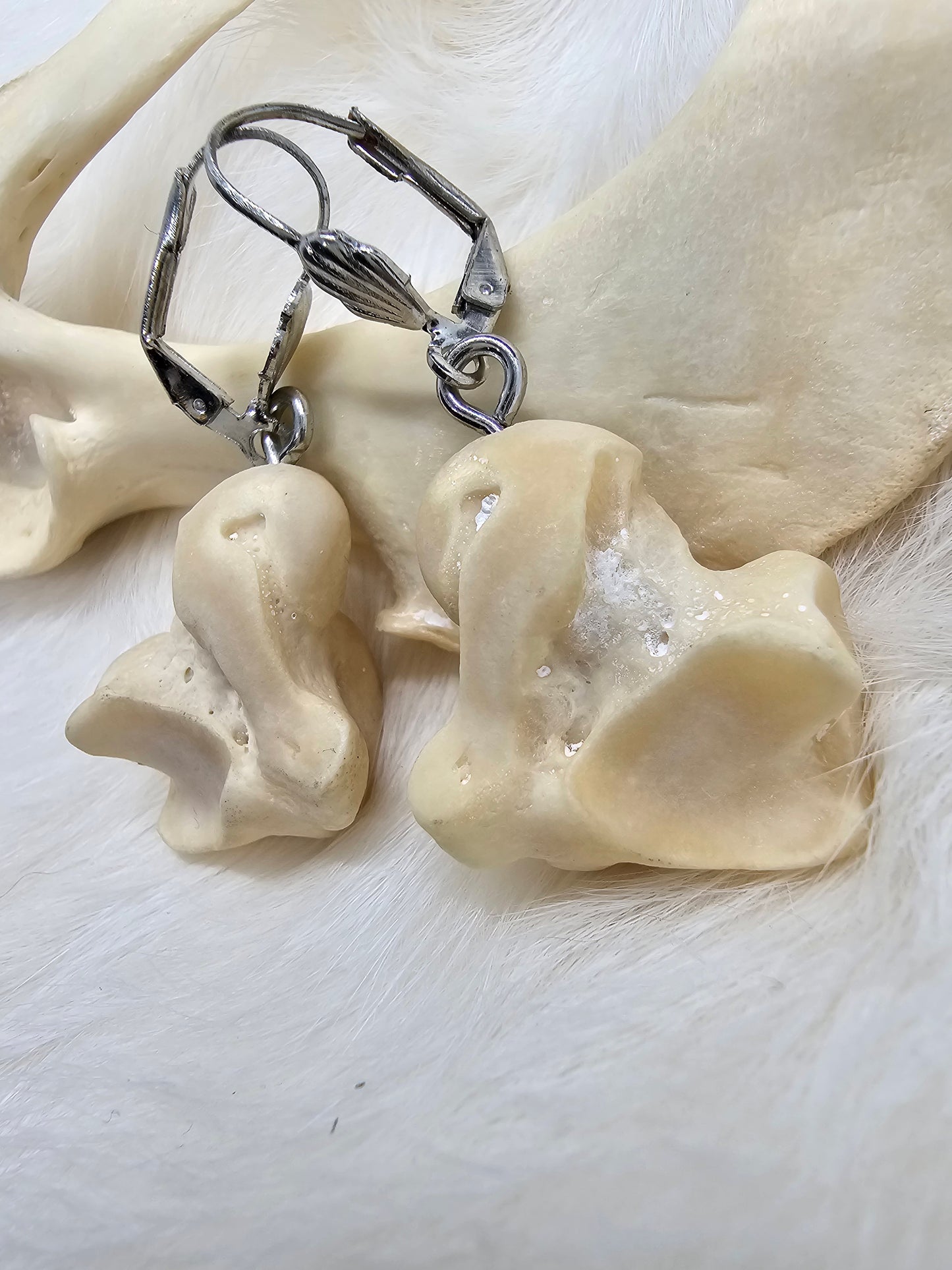 The Rounded Bones