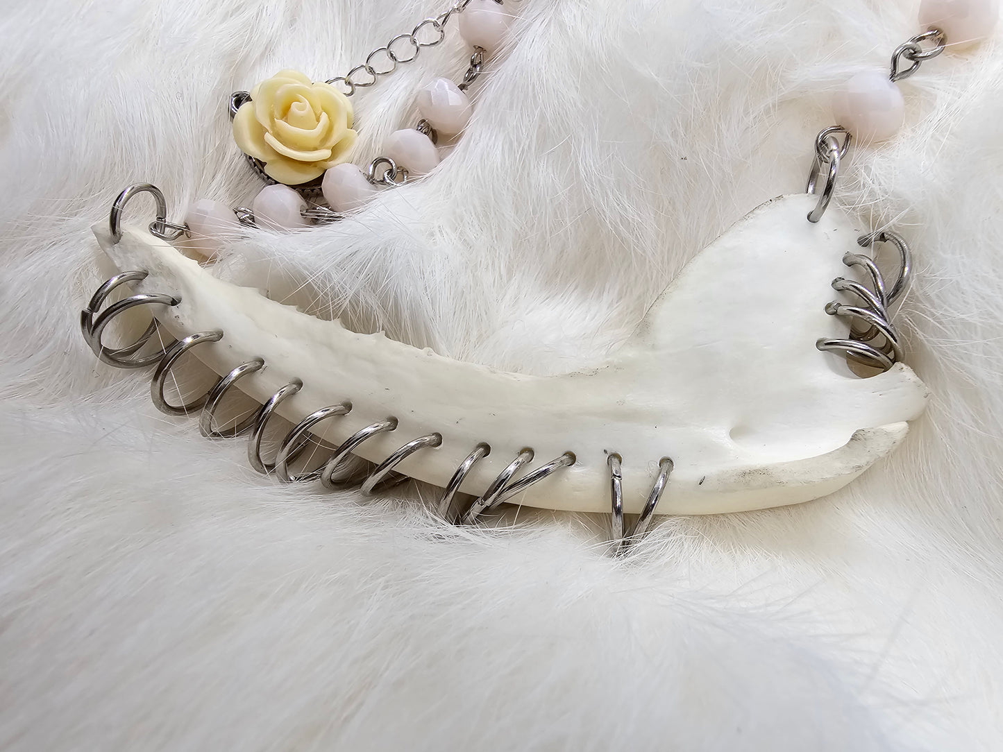 Pierced Jaw