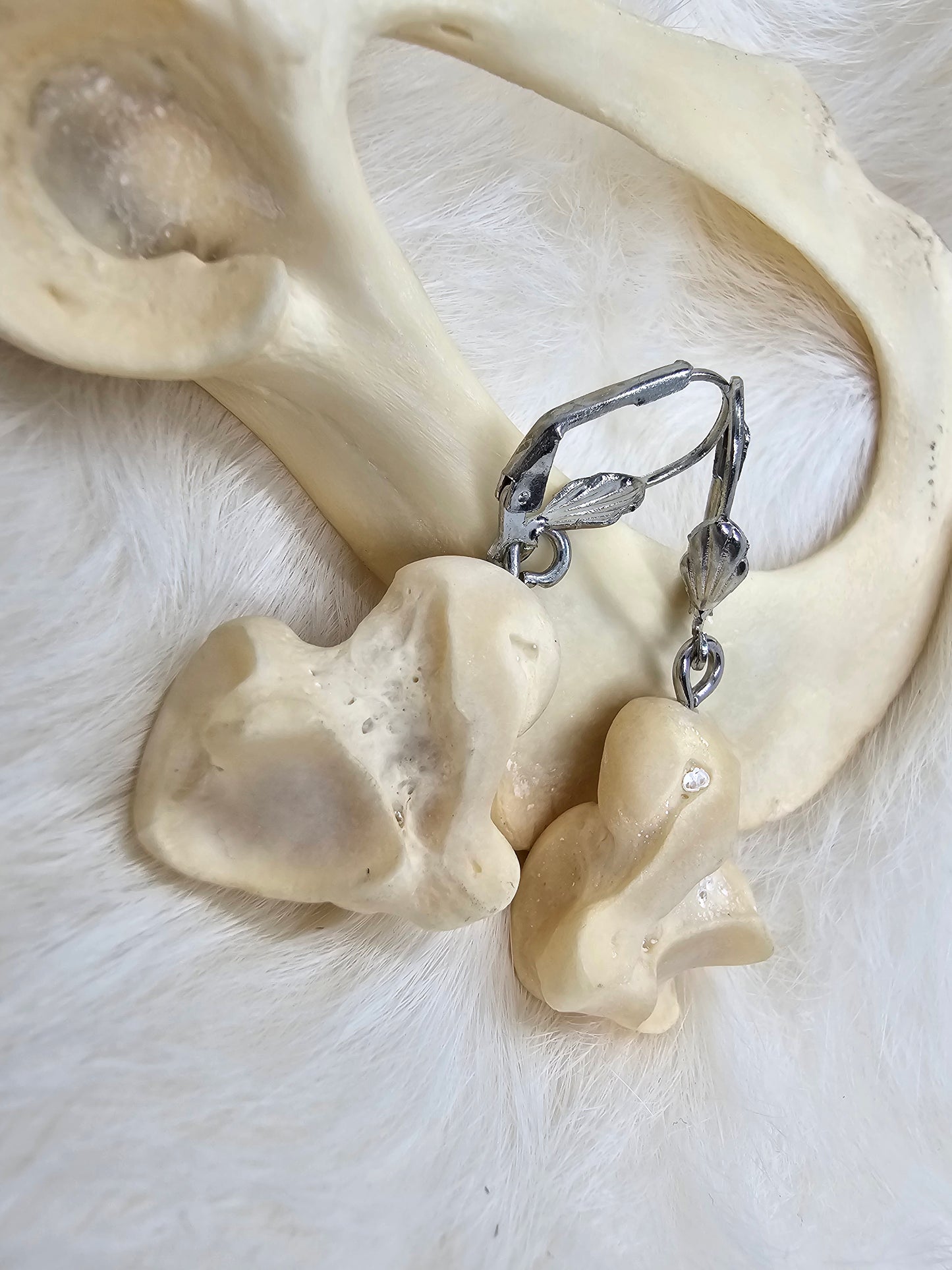 The Rounded Bones