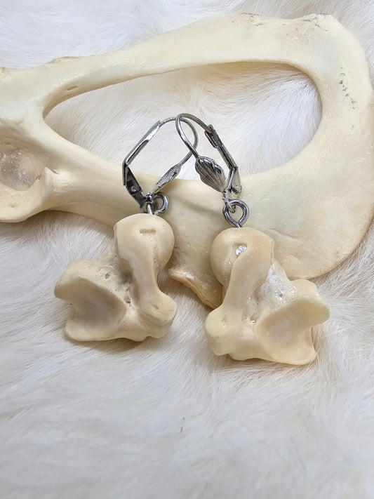 The Rounded Bones
